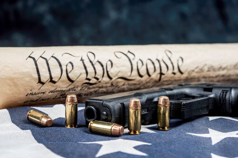 Florida Democratic Leaders Challenge Recent Open Carry Court Decision