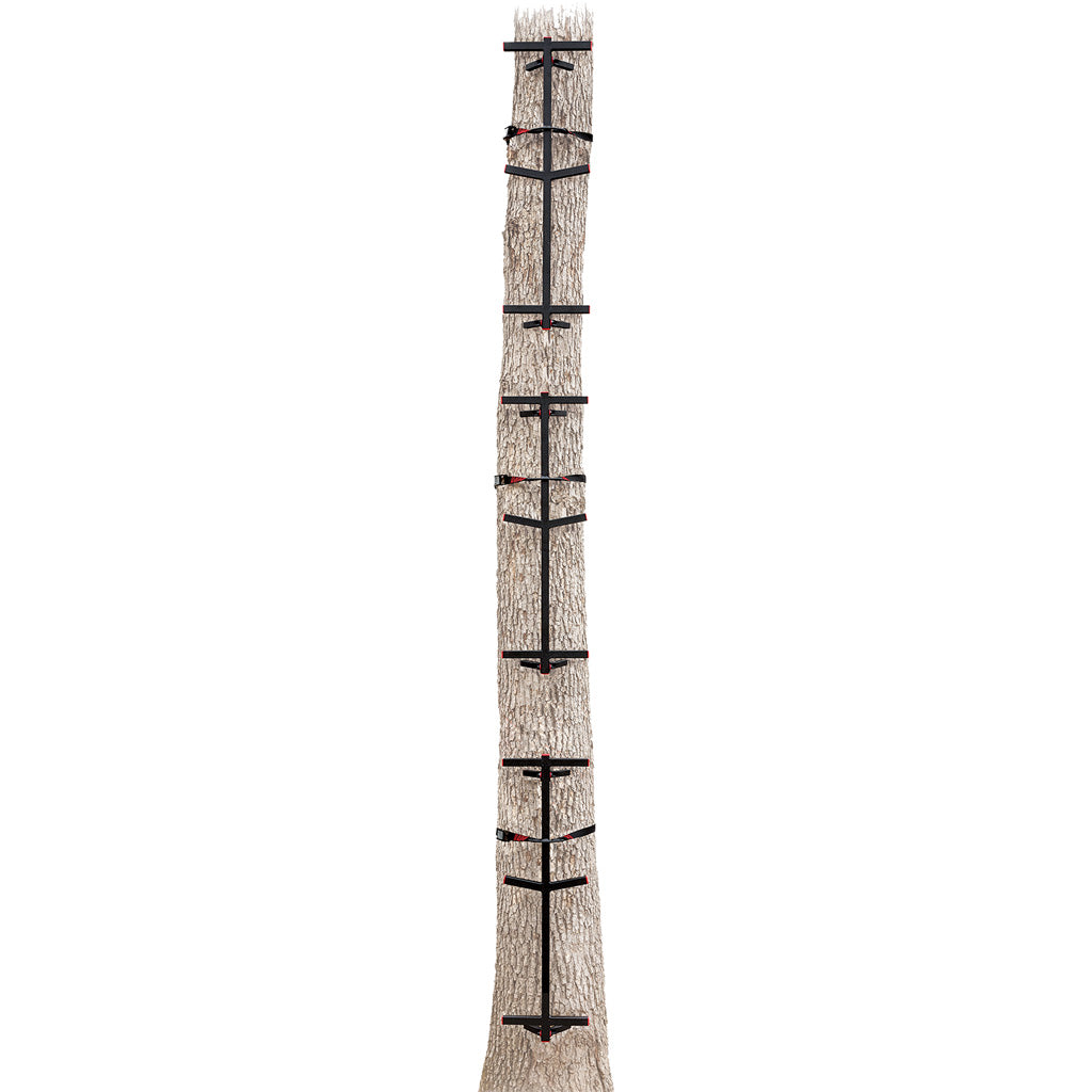Primal Fast Stick Climbing Sticks Steel 3 pk.