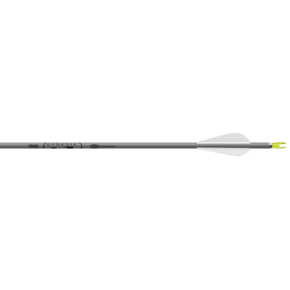 Easton Genesis Arrows 3 in. Vanes Silver 36 pk.