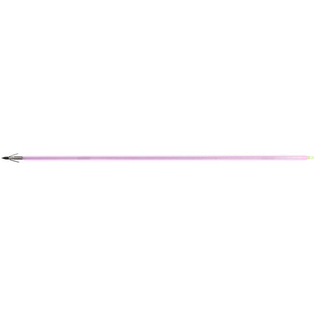 Muzzy Saber Fish Arrow Gar Point
