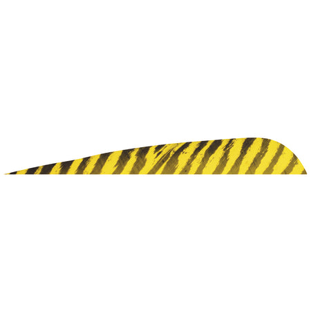 Gateway Barred Feathers Yellow 5 in. RW 50 pk.