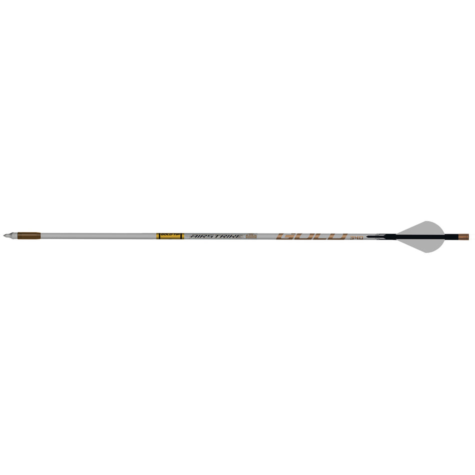 Gold Tip AirStrike Arrows 250 Raptor Vanes 6 pk.