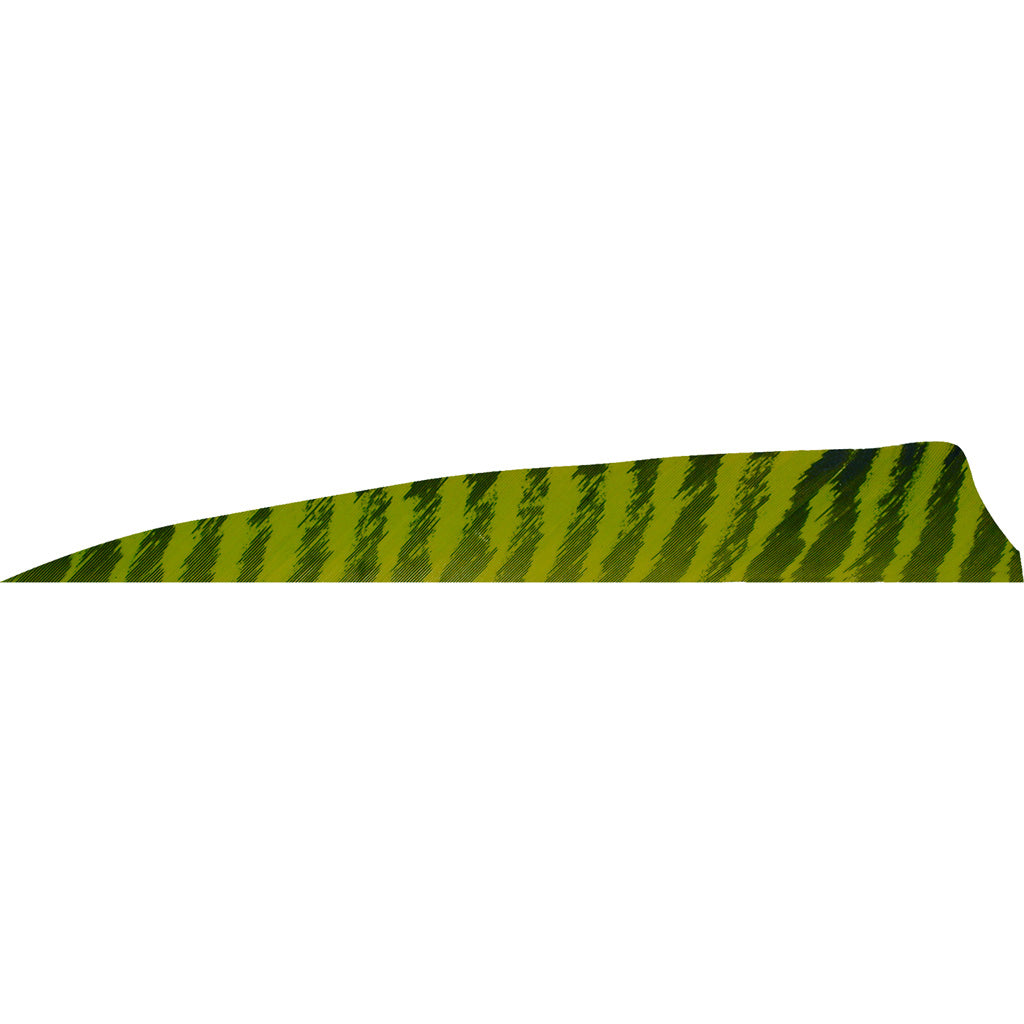 Gateway Shield Cut Feathers Barred Chartreuse 4 in. LW 50 pk.