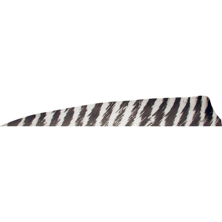 Gateway Shield Cut Feathers Barred White 4 in. LW 50 pk.