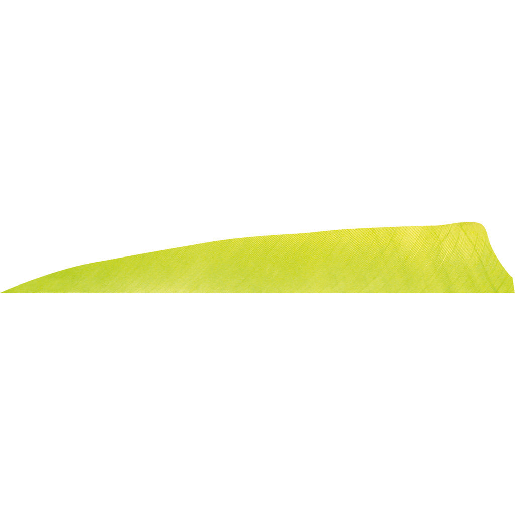 Gateway Shield Cut Feathers Lemon Lime 4 in. LW 50 pk.