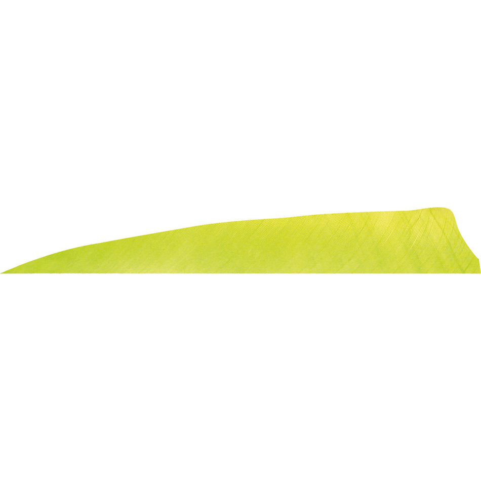Gateway Shield Cut Feathers Lemon Lime 4 in. LW 50 pk.