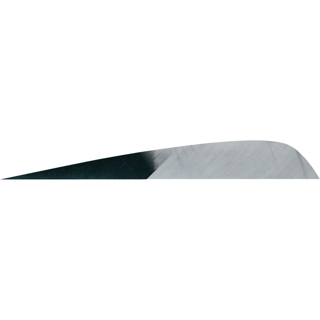 Gateway Parabolic Feathers Kuru Grey 4 in. RW 50 pk.