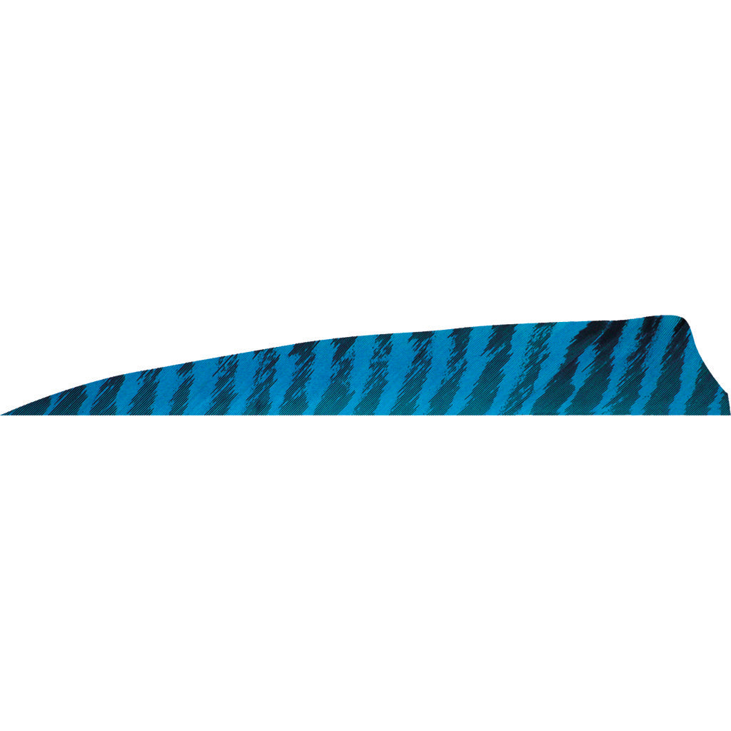 Gateway Shield Cut Feathers Barred Blue 4 in. RW 50 pk.