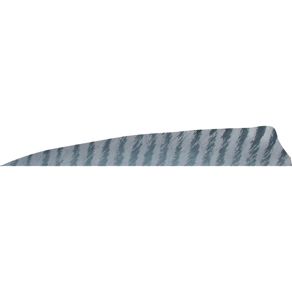 Gateway Shield Cut Feathers Barred Grey 4 in. RW 50 pk.