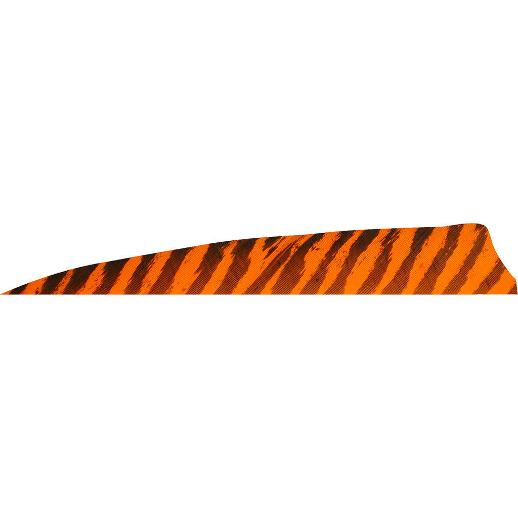 Gateway Shield Cut Feathers Barred Orange 4 in. RW 50 pk.