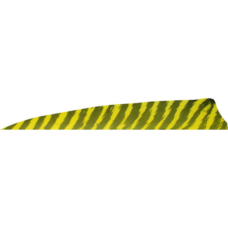 Gateway Shield Cut Feathers Barred Yellow 4 in. RW 50 pk.
