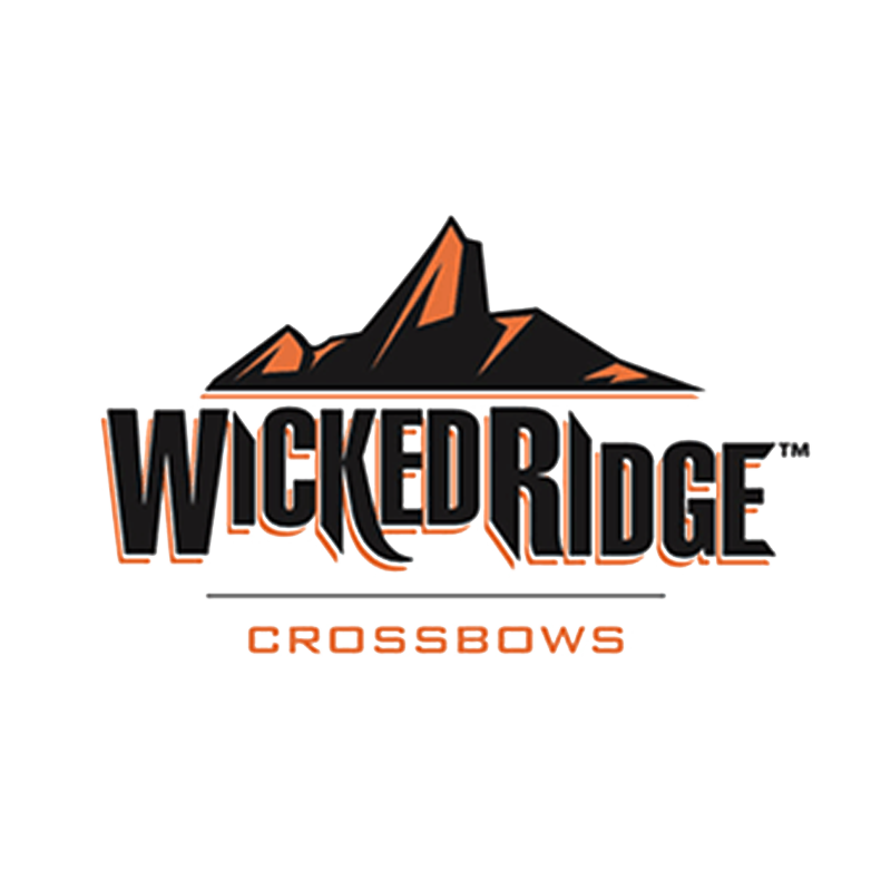 WICKED RIDGE MATCH 400 ARROWS 20 ALPHA 36PK