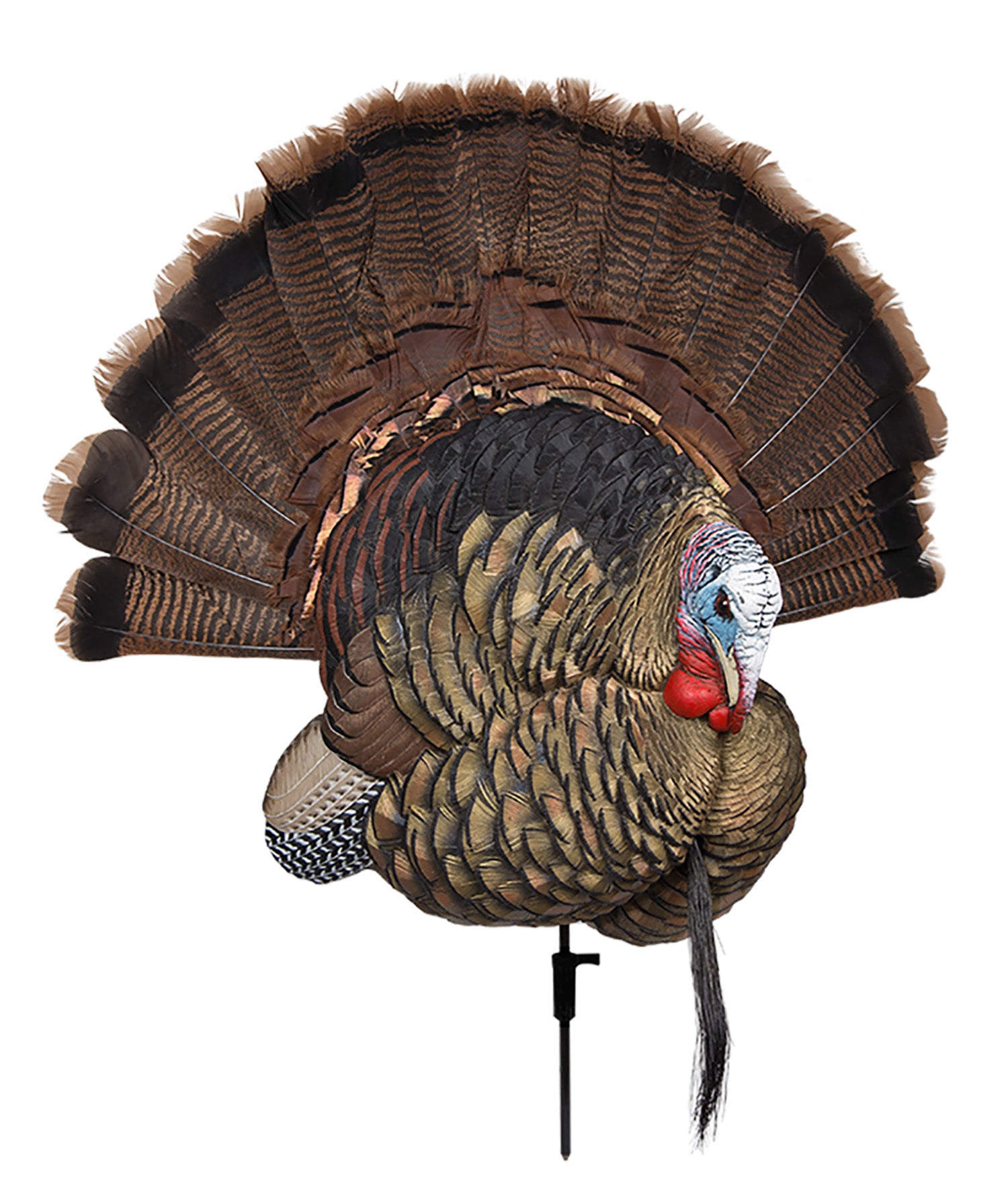 Avian X AVXAVX8021 Trophy Tom Turkey Species Multi-Color *No Fan