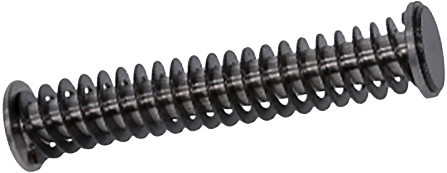 Rival Arms RARA50A101T Guide Rod Assembly Guide Rod Assembly Tungsten for Springfield XD-9