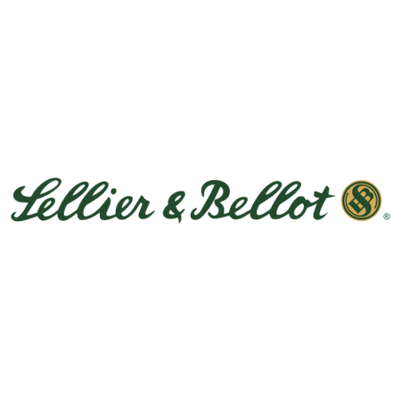 Sellier and Bellot .243 Winchester Rifle 100gr JSP Ammo