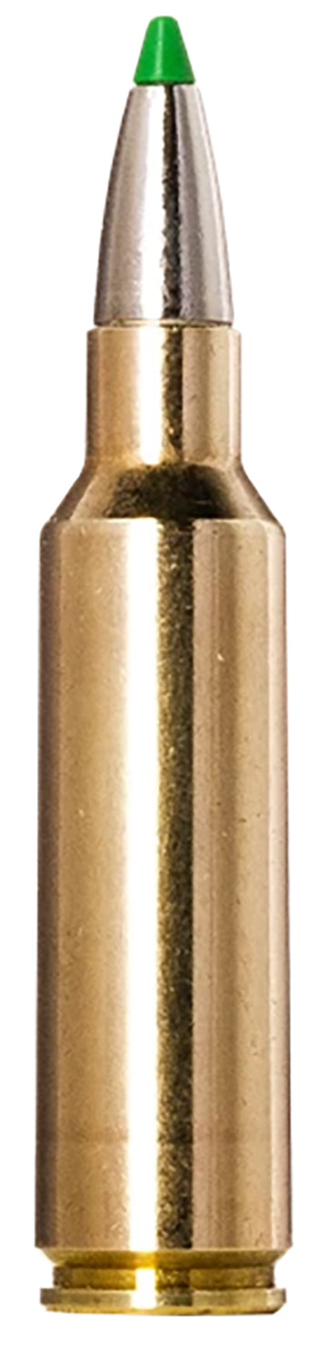 Norma .300 WSM Ecostrike 165gr PolyTip Ammo