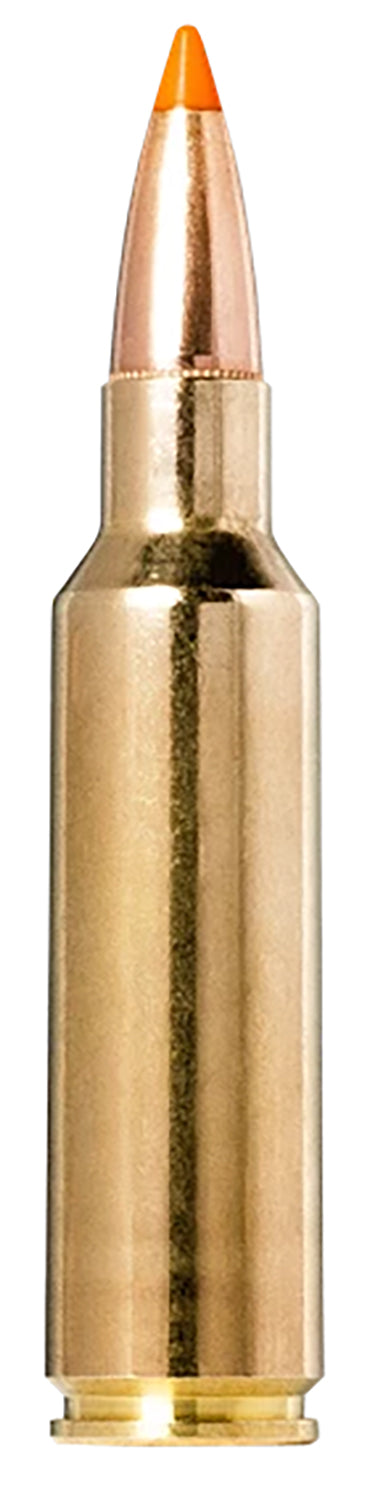 Norma .300 WSM Tipstrike 170gr Polymer Tip Ammo