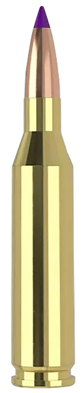 Nosler .243 Winchester Ballistic Tip 70gr PolyTip Ammo