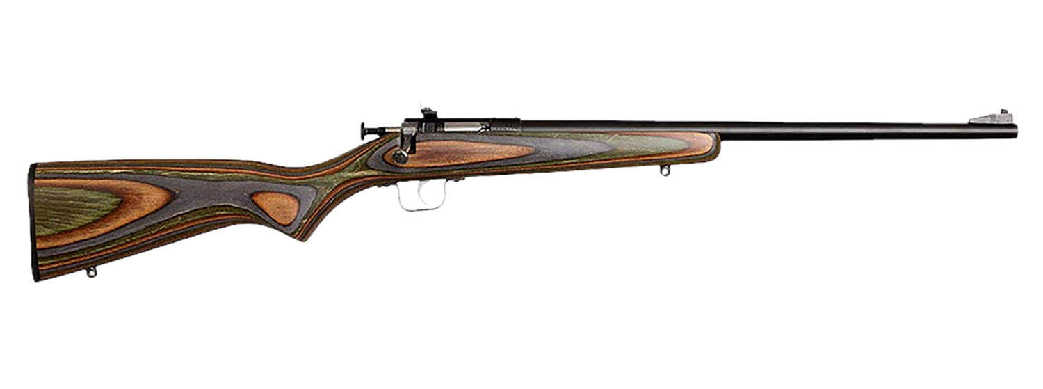 Chipmunk 00005 Gen2 22 LR 1rd 16.10" Blued Tapered Single Shot Barrel, Fixed Camo Laminate Stock