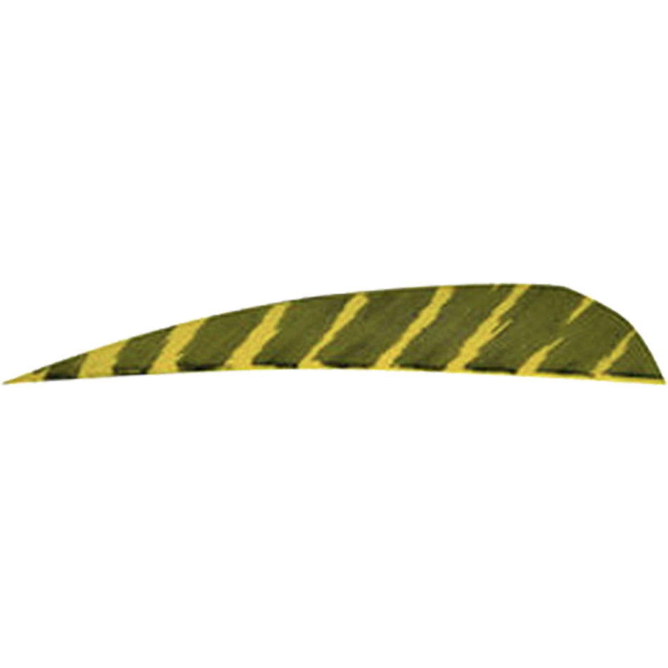Gateway Barred Feathers Yellow 4 in. RW 50 pk.