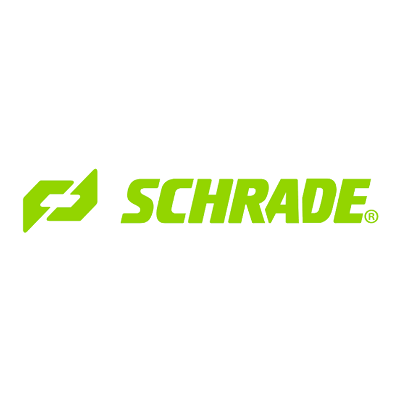 BTI SCHRADE DECIMATE BOLO