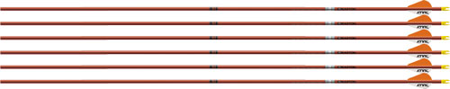 EASTON ARROW FMJ 5MM 400 W/ 2" BULLY VANES 6-PACK AUTUMN ORG