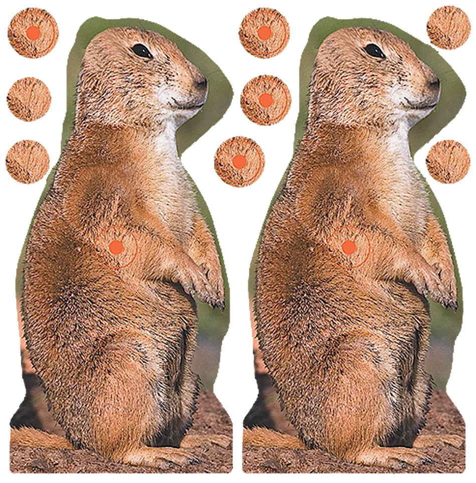 Birchwood Casey 34786 Shoot-N-C Reactive Target Self-Adhesive Paper Brown 8" Prairie Chuck 12 Pack