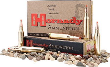 Hornady .350 Legend Custom 165gr FTX Ammo