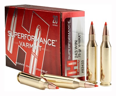 Hornady .243 Winchester Superformance Varmint 75gr V-Max Ammo