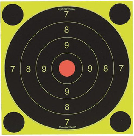 Birchwood Casey Shoot-N-C International Target 029057340822