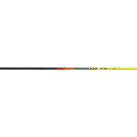 Black Eagle Renegade Shafts .005 300 1 doz.