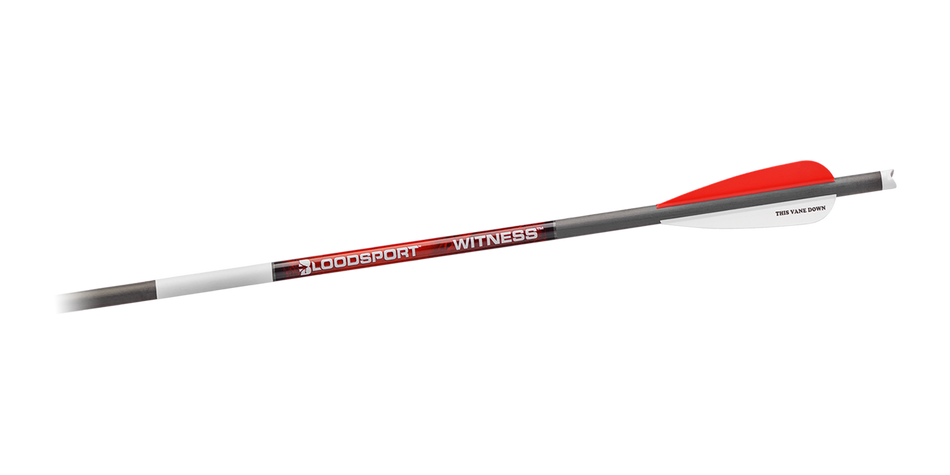 Bloodsport Witness Crossbow Bolt 22" 300 Spine 6/pk