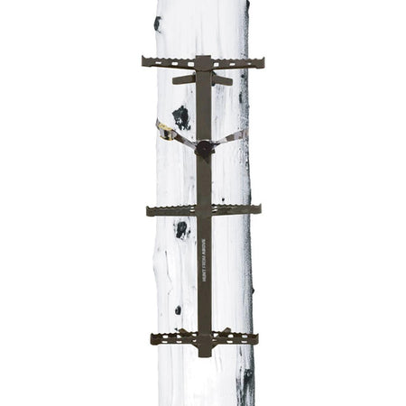 Hawk Hunting Hawk Ranger Traction Climbing Sticks 3/pk