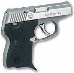North American Arms 380GUARDIAN Guardian 380 ACP 6+1 2.50" Stainless Steel Barrel, Stainless Steel Serrated Slide, Stainless Steel Frame, Black Rubber Grip, Right Hand