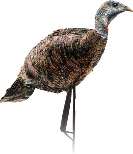 Montana Decoy Co Miss Purrfect XD Turkey Hen Decoy