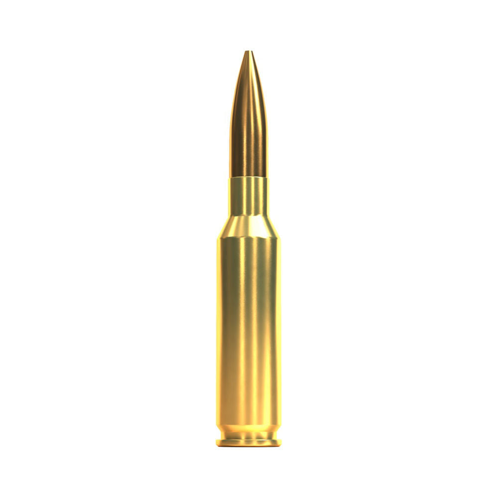 Sellier and Bellot Rifle 6.5mm Creedmoor 142 Gr BTHP