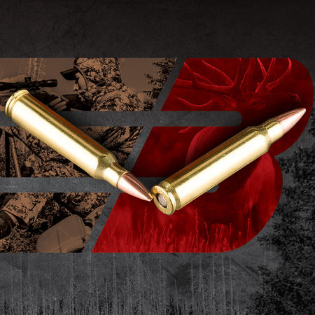 Barnes .223 Remington Centerfire 55gr BTHP Ammo