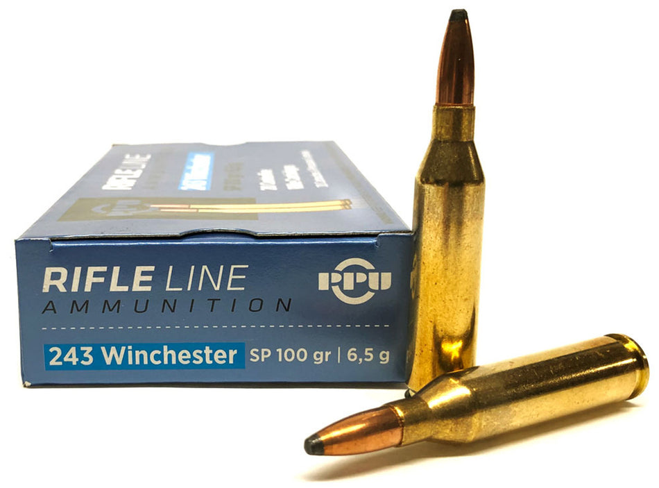Prvi Partizan  .243 Winchester 100 Gr JSP