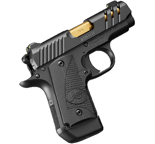 MICRO 9MM ESV TWO-TONE (MC)(TP)