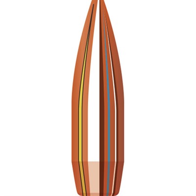 MATCH 22 CALIBER (0.224") HOLLOW POINT BOAT TAIL BULLETS 090255690491