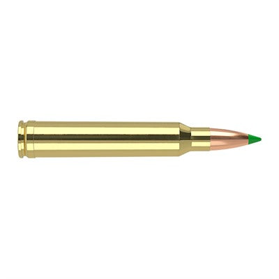 Nosler .300 Winchester Mag Hunting 180gr PolyTip Ammo
