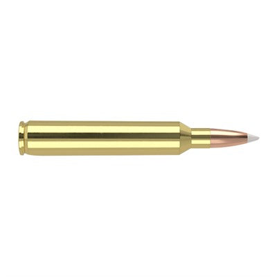 Nosler 7mm RUM Trophy Grade 160gr JSP Ammo