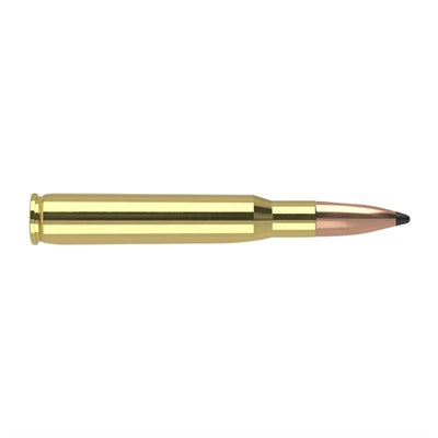 Nosler 61018 Trophy Grade Partition 165 Grain .30-06 Springfield