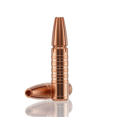 RAPTOR 308 CALIBER (.308") SUBSONIC RIFLE BULLETS