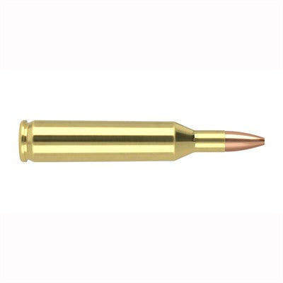 Nosler .17 Remington Varmageddon 20gr JHP Ammo
